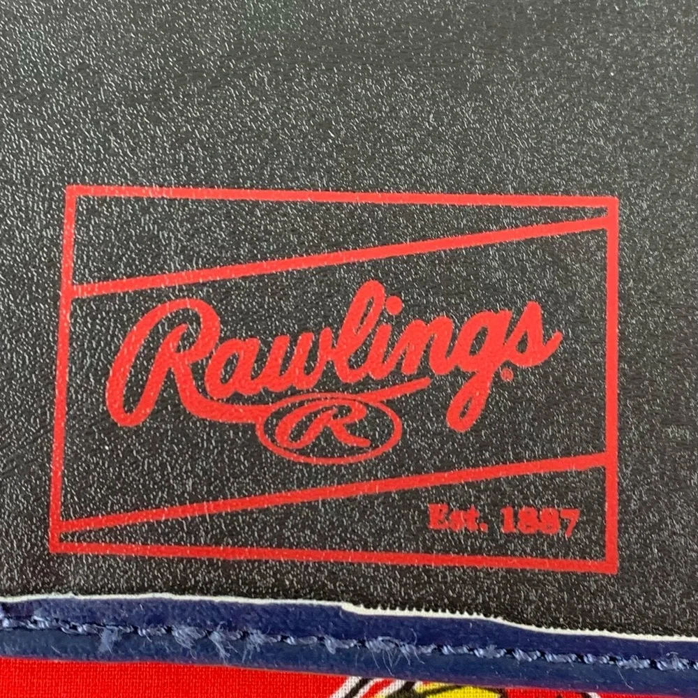 Rawlings Busch Stadium St. Louis Cardinals Notebook portfolio.